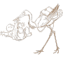 naissance