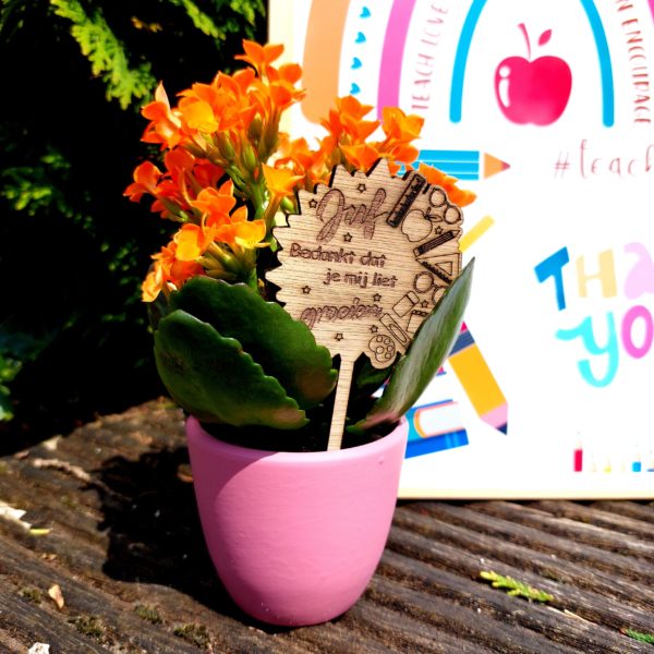 Pic à planter, juf... – Image 2