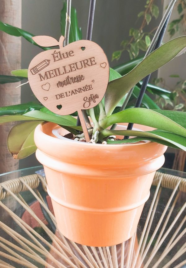Pic à planter, pomme du professeur