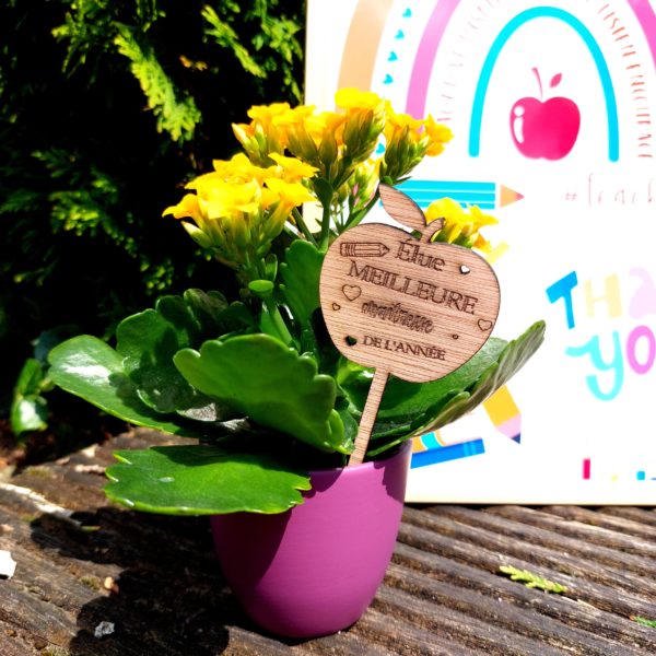 Pic à planter, petite pomme du prof – Image 2