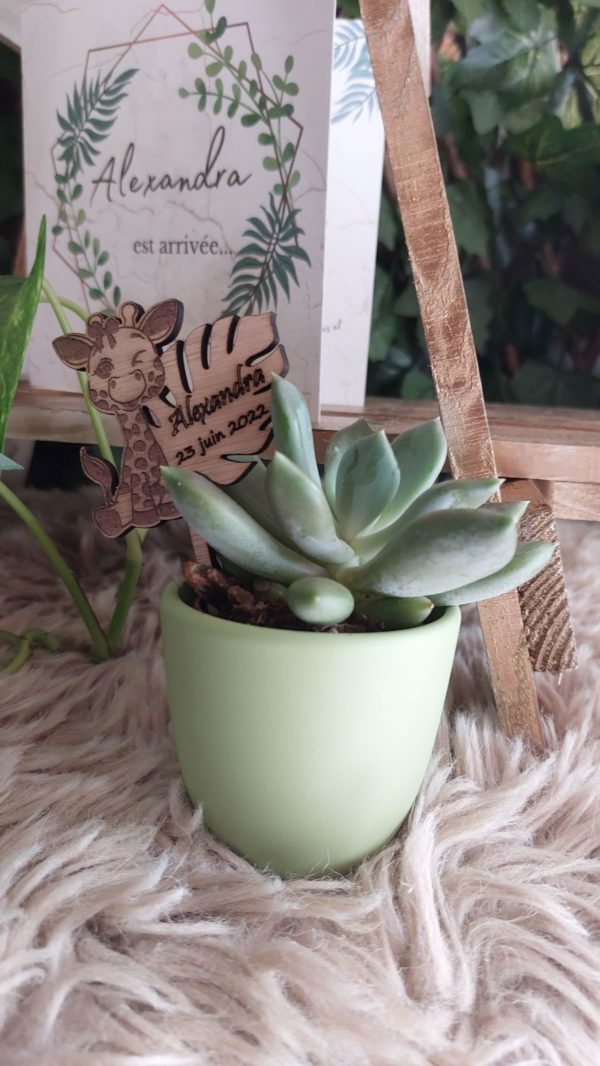 Cadeaux uniques – Image 2