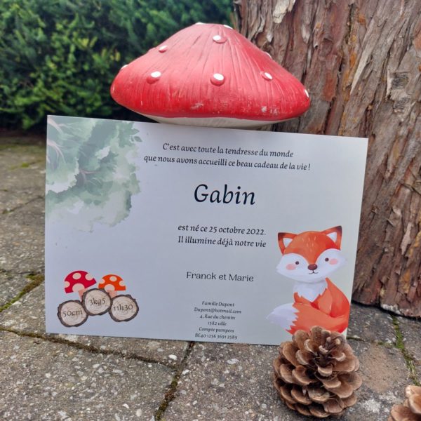 Woodland – Image 2