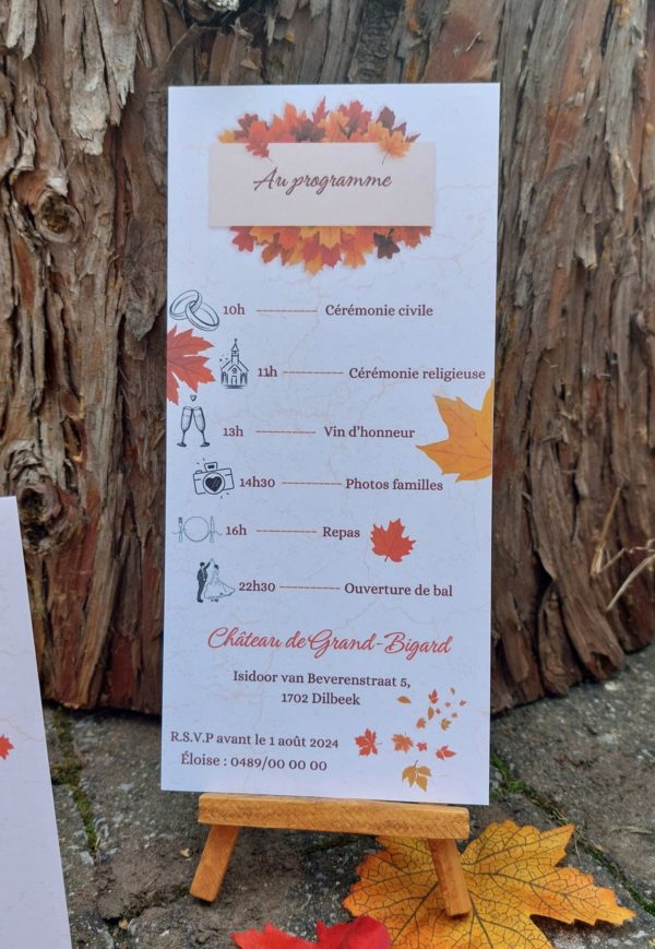 L'Amour aux couleurs d'automne – Image 2